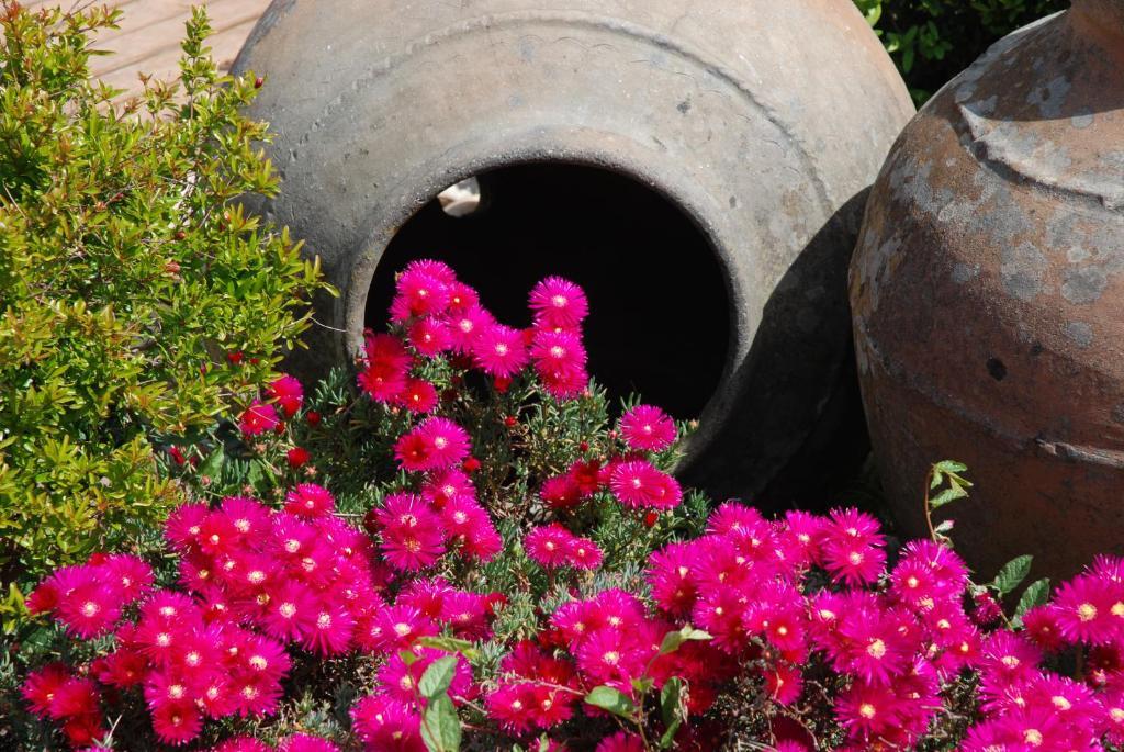 A Flor Da Rosa Hotell Crato Eksteriør bilde